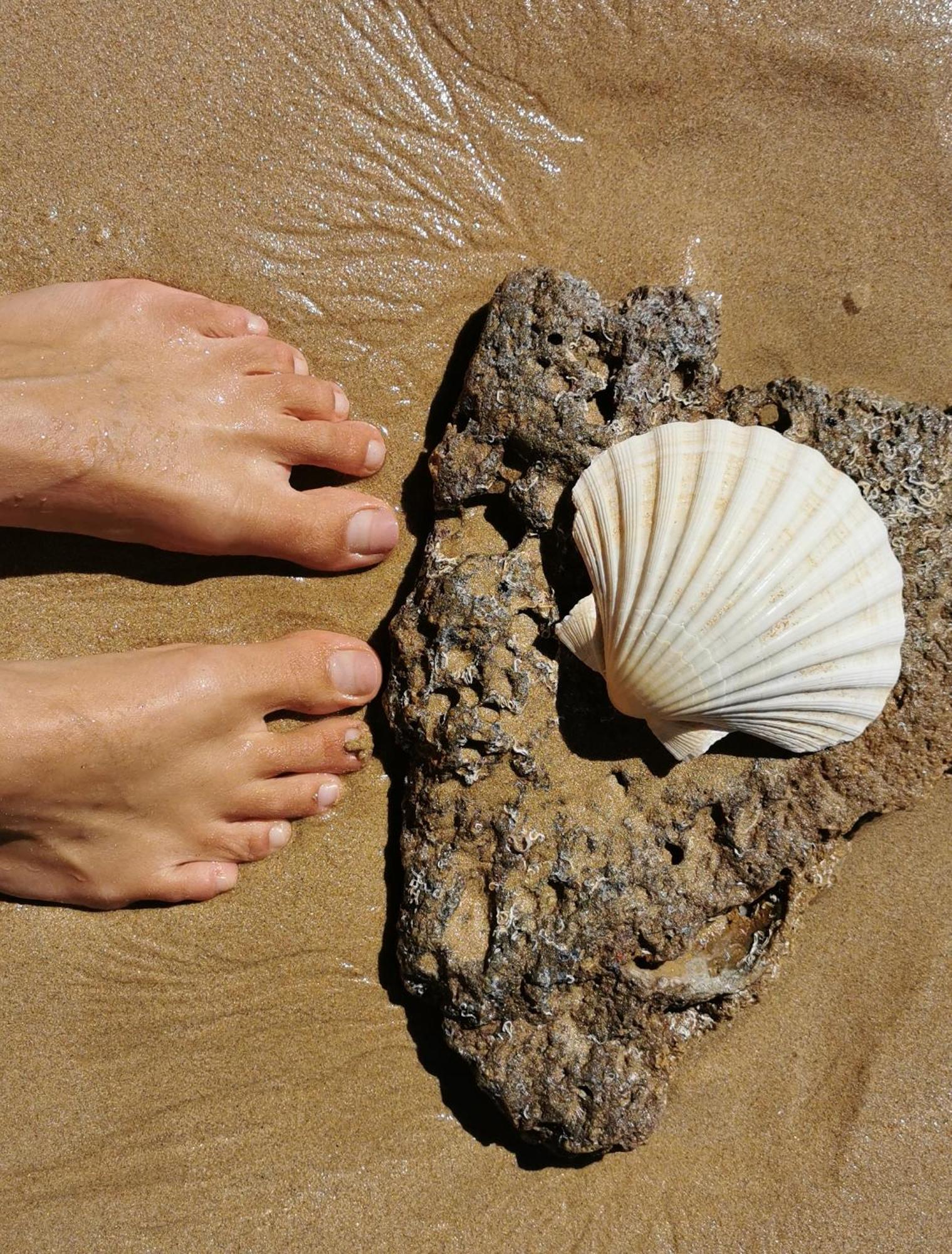 Vida A Portuguesa: Charming Portuguese-style